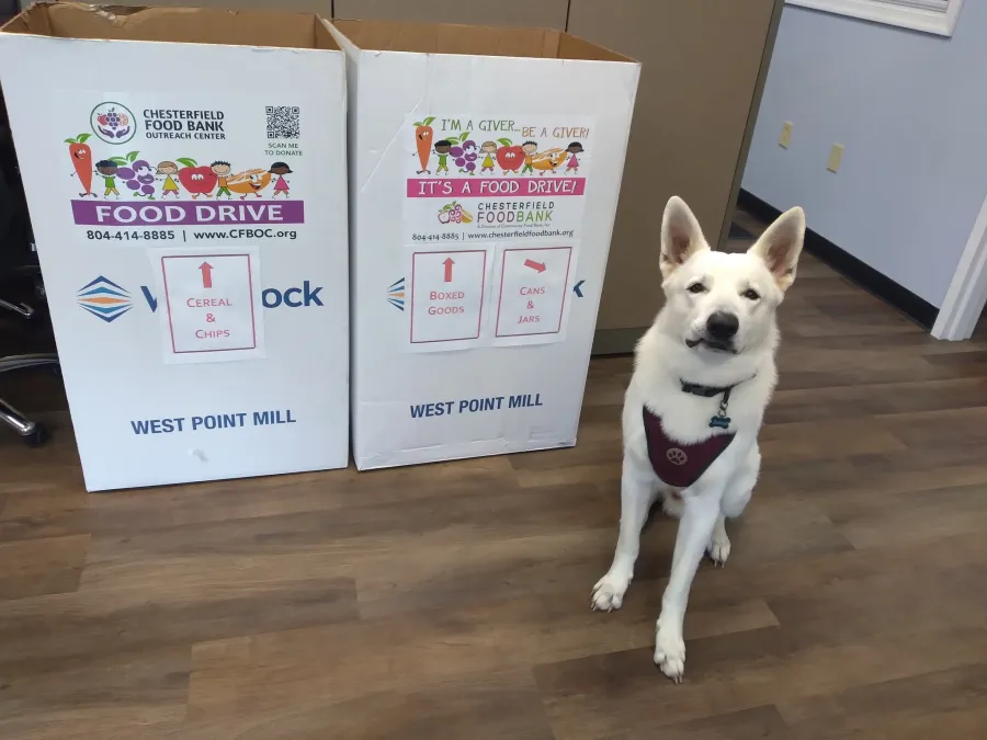 JDSBath Sameuel white german shephard food drive chesterfield va