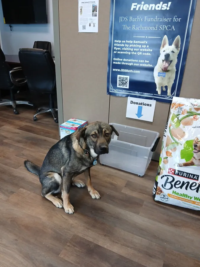 JDS Bath donates items with winston richmond spca help samuel\\\\\\\\\\\\\\\\\\\\\\\\\\\\\\\\\\\\\\\\\\\\\\\\\\\\\\\\\\\\\\\'s friends centeral va