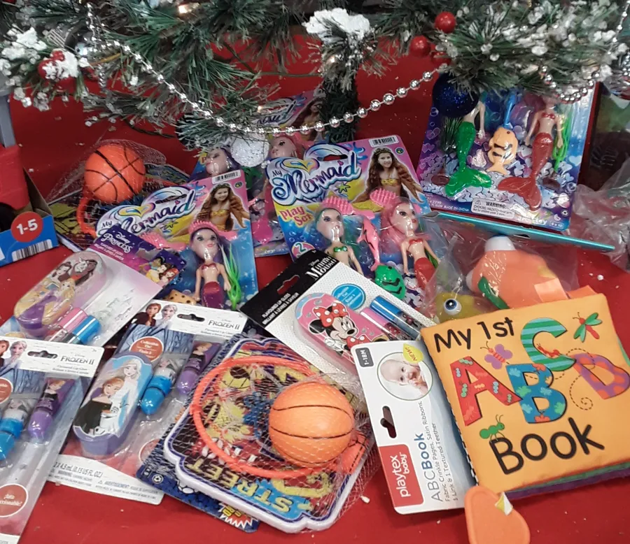 JDSBath Marine toys for tots food lion donation centeral va