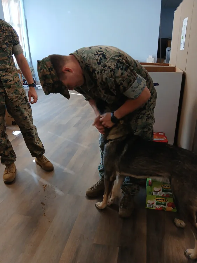 JDSBath Marines petting winston centeral va