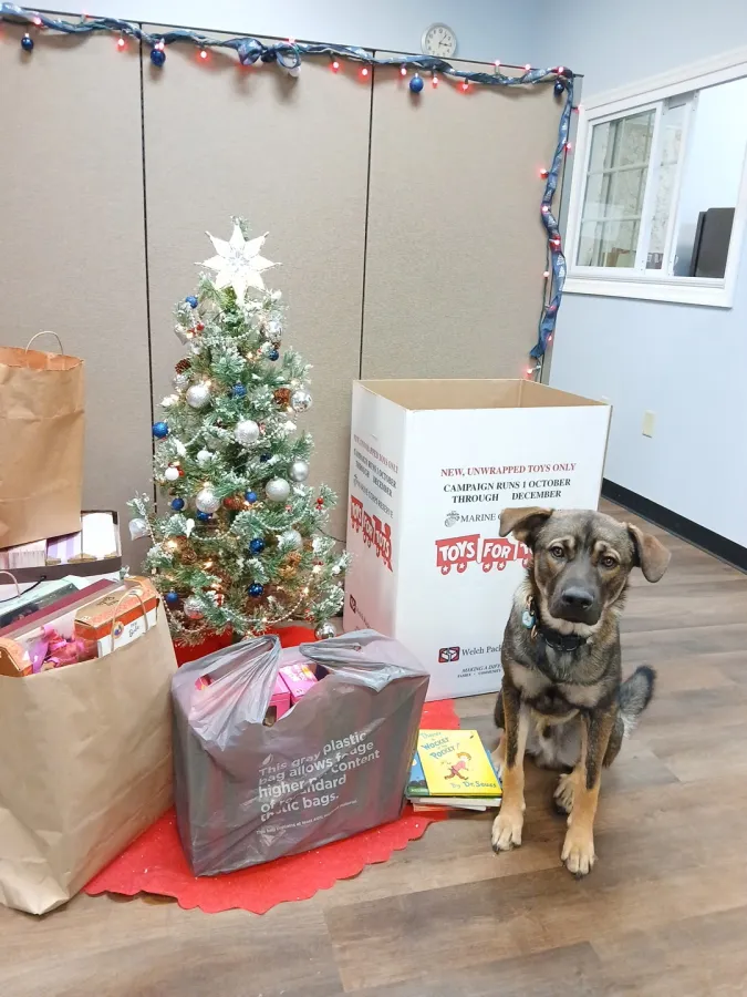 JDSBath marine toys for tots collection 2025 christmas tree with winston chester va