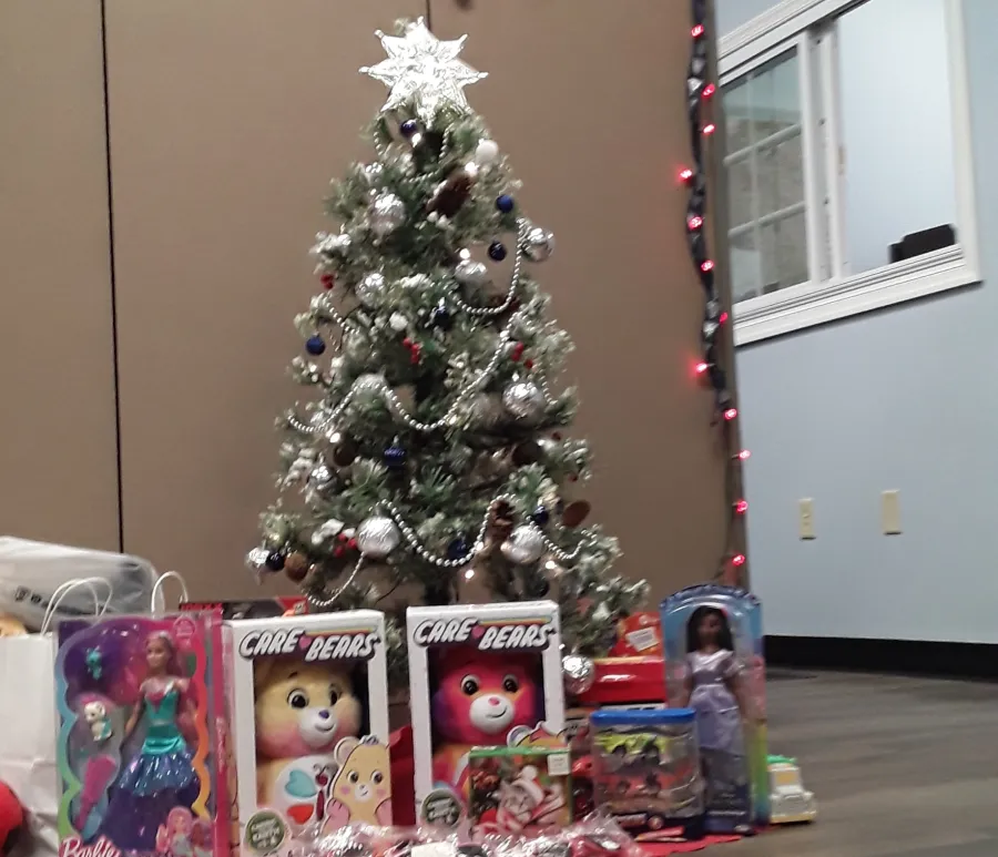 JDSBath toys for tots repeat donation chesterfield va