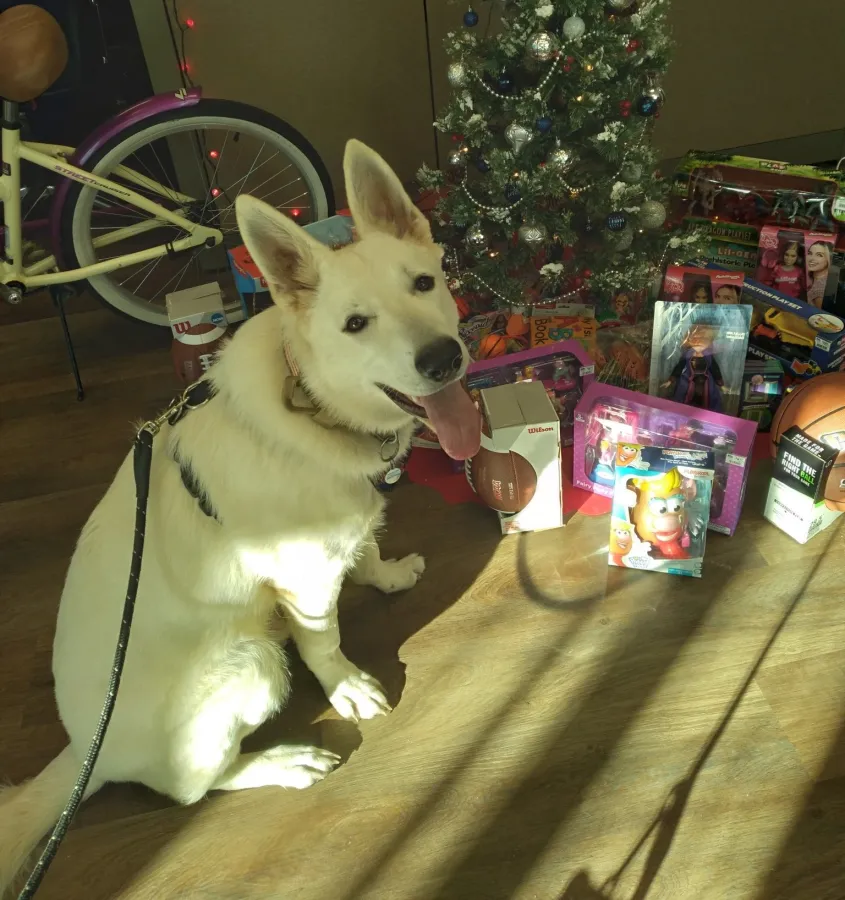 JDS Bath Toys for Tots donations in Richmond, VA with tree and dog