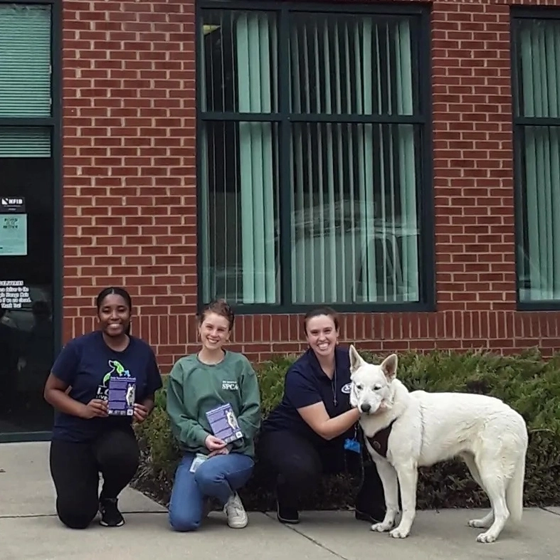 The JDS Bath team with Samuel, the white German Shepherd